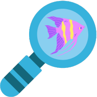 acquariologia