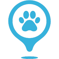 pet shop napoli